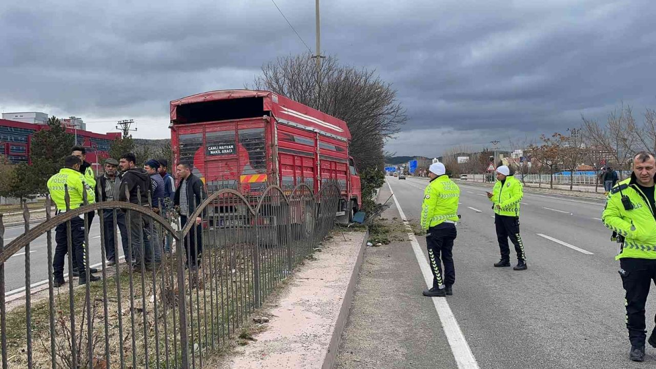 Canlı hayvan taşıyan kamyonet ağaca çarptı, 2 kişi yaralandı