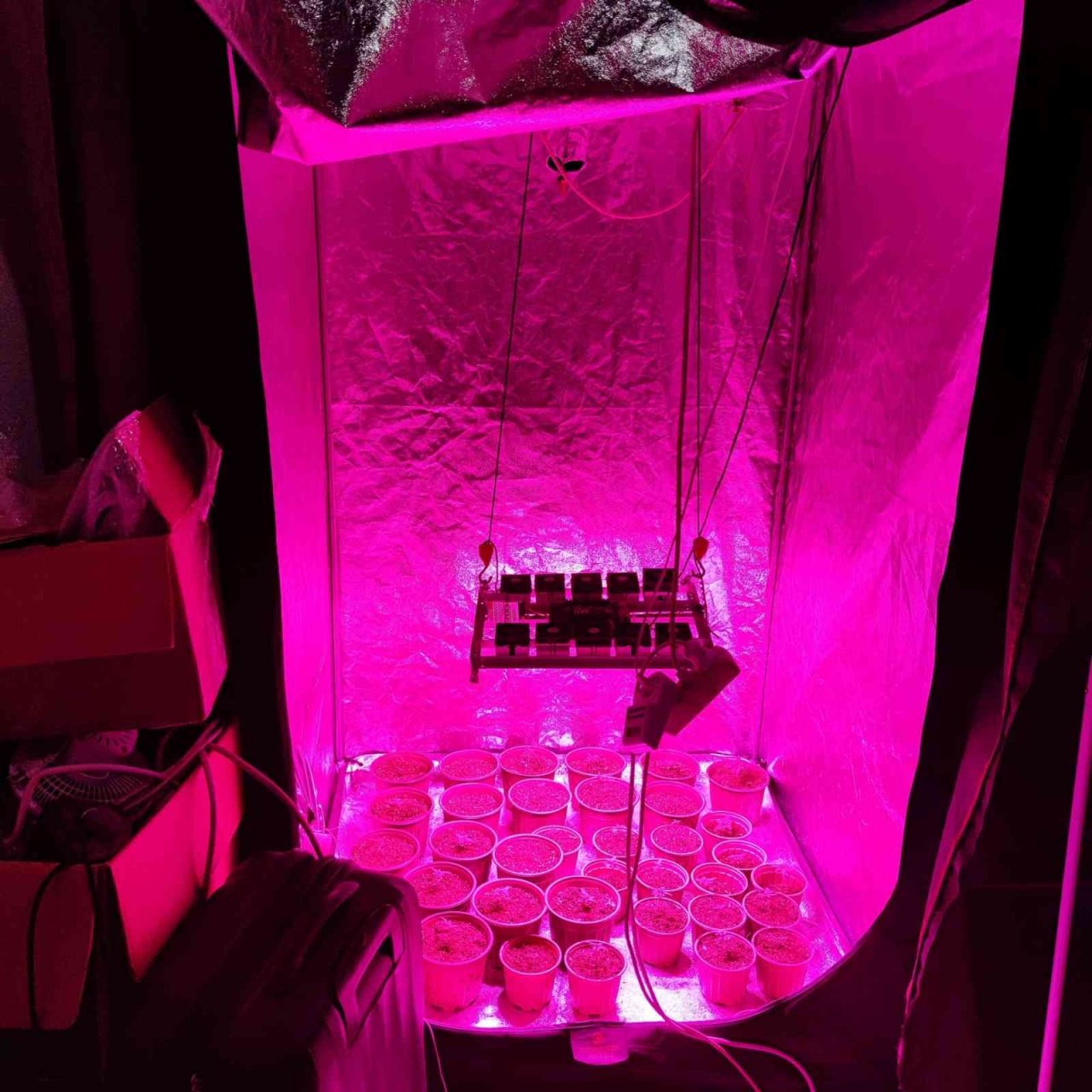 Evinin iki odasını uyuşturucu imalathanesine çevirdi