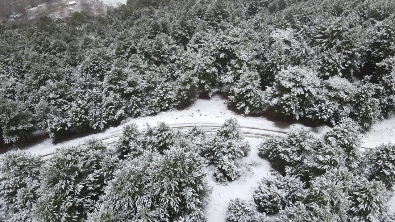 Aydın’a yılın ilk karı düştü