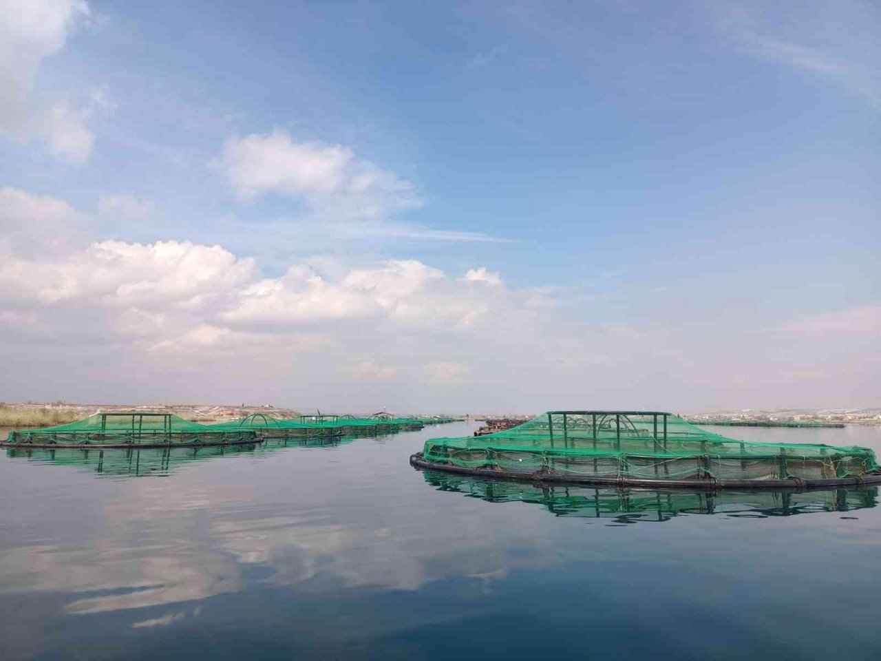 Gaziantep’ten dünyaya Türk somonu