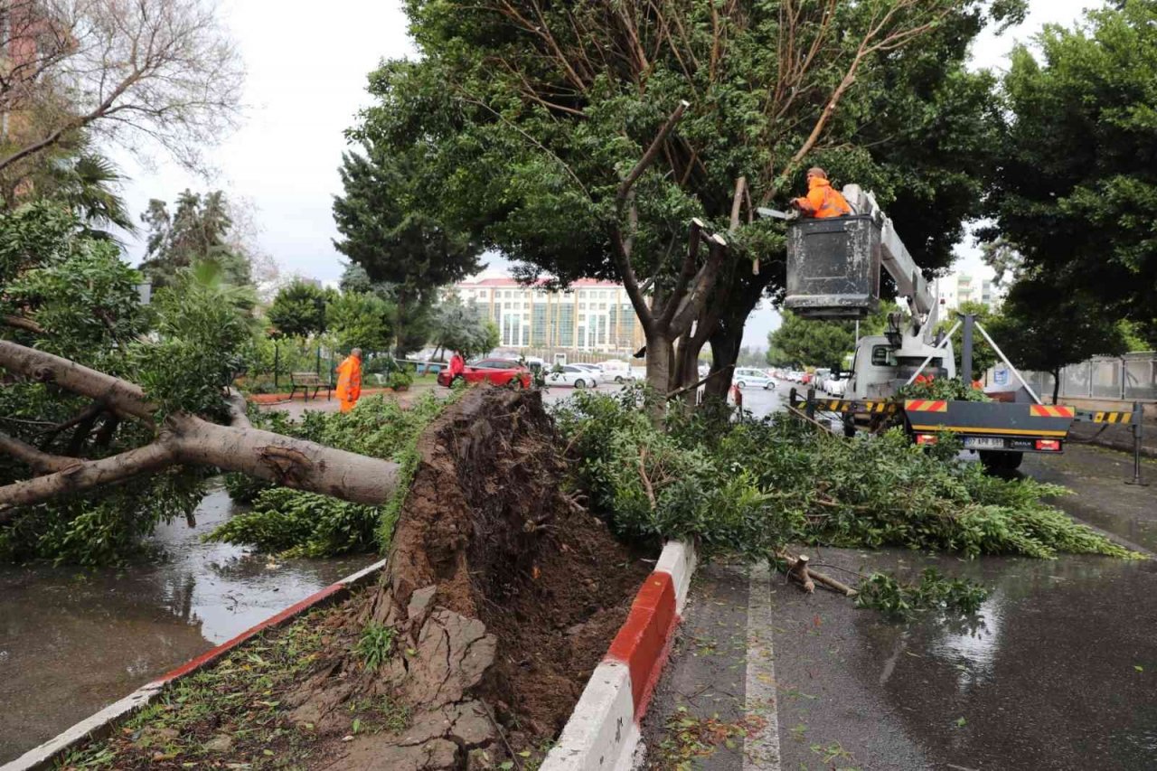 Büyükşehirin fırtına mesaisi