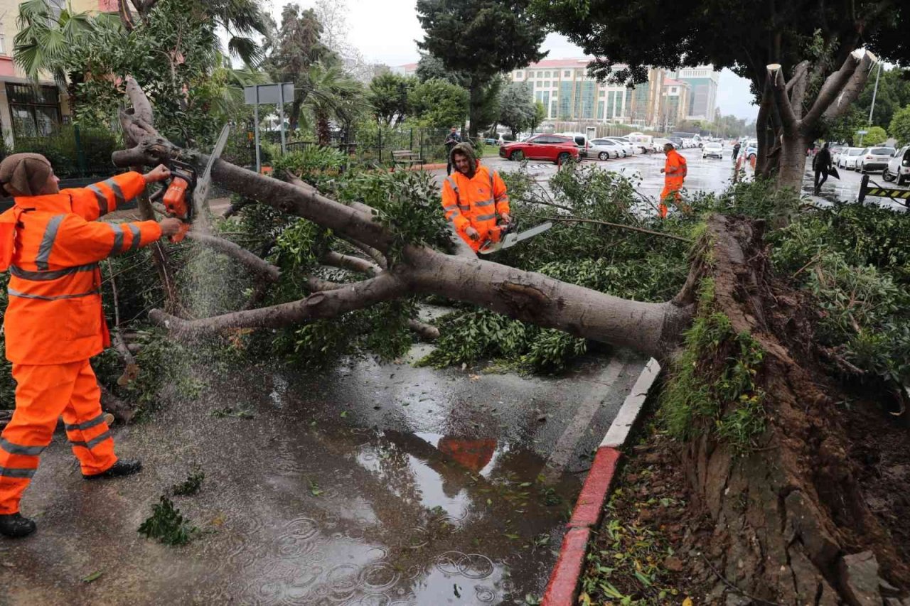 Büyükşehirin fırtına mesaisi