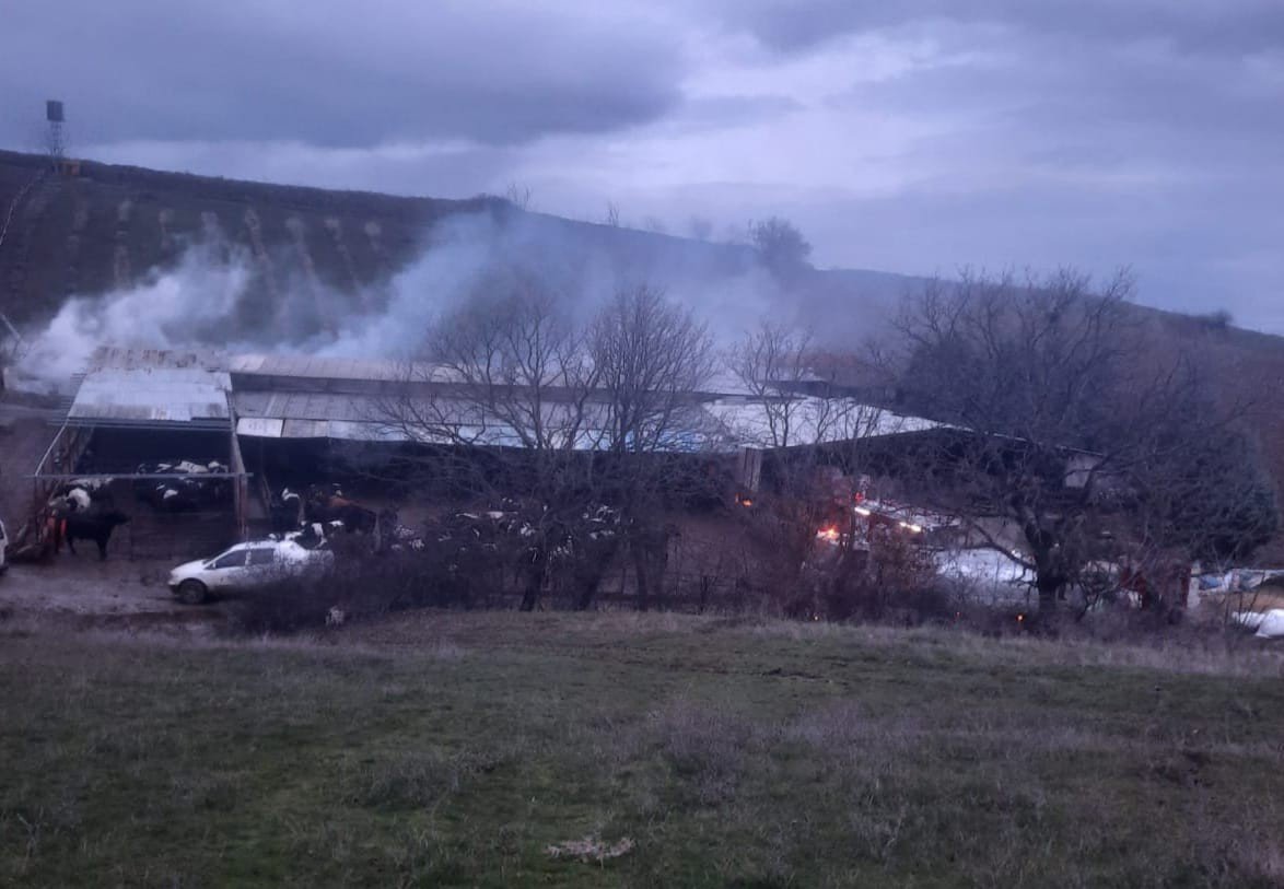Çiftlikte çıkan yangında hayvanlar telef oldu
