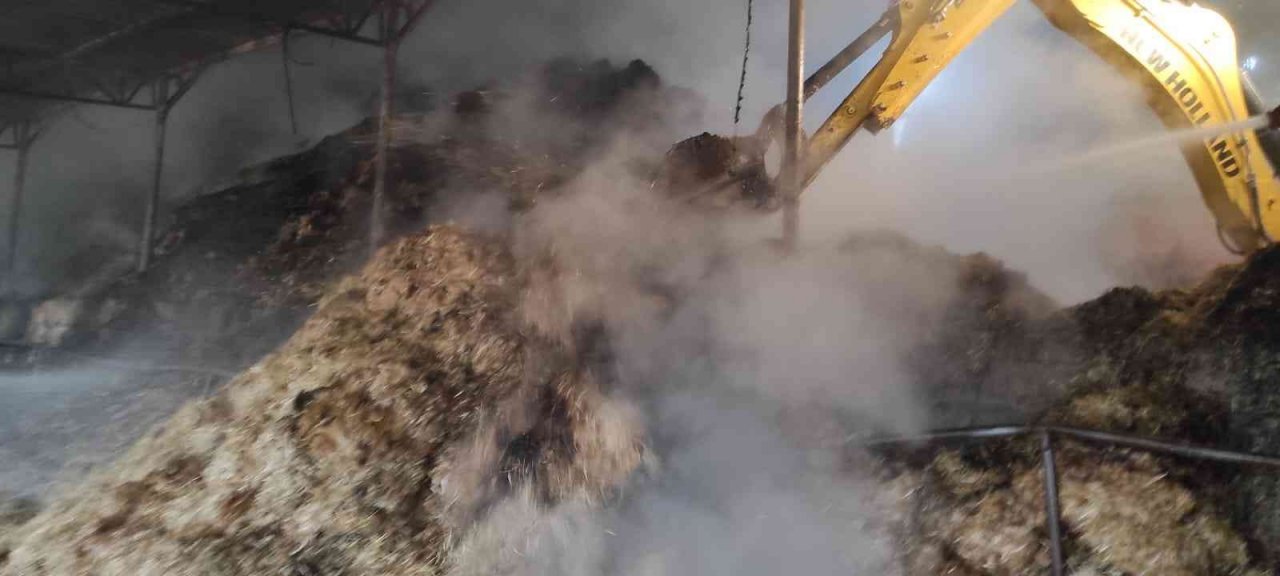 Çiftlikte çıkan yangında hayvanlar telef oldu