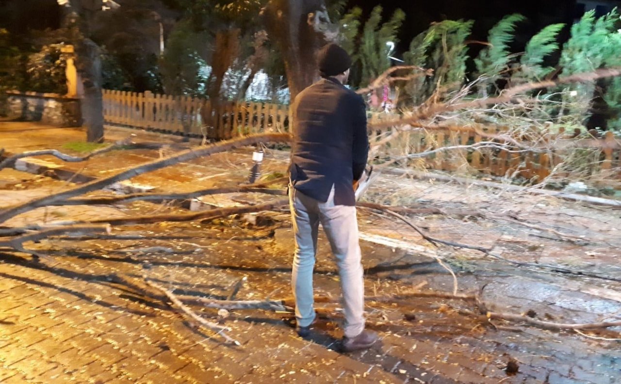 Fırtına ağaçları devirdi, çatıları uçurdu