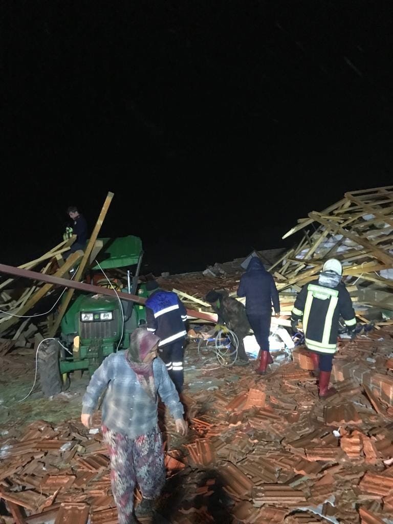 Çatısı çöken ahırda 30’a yakın küçükbaş hayvan telef oldu