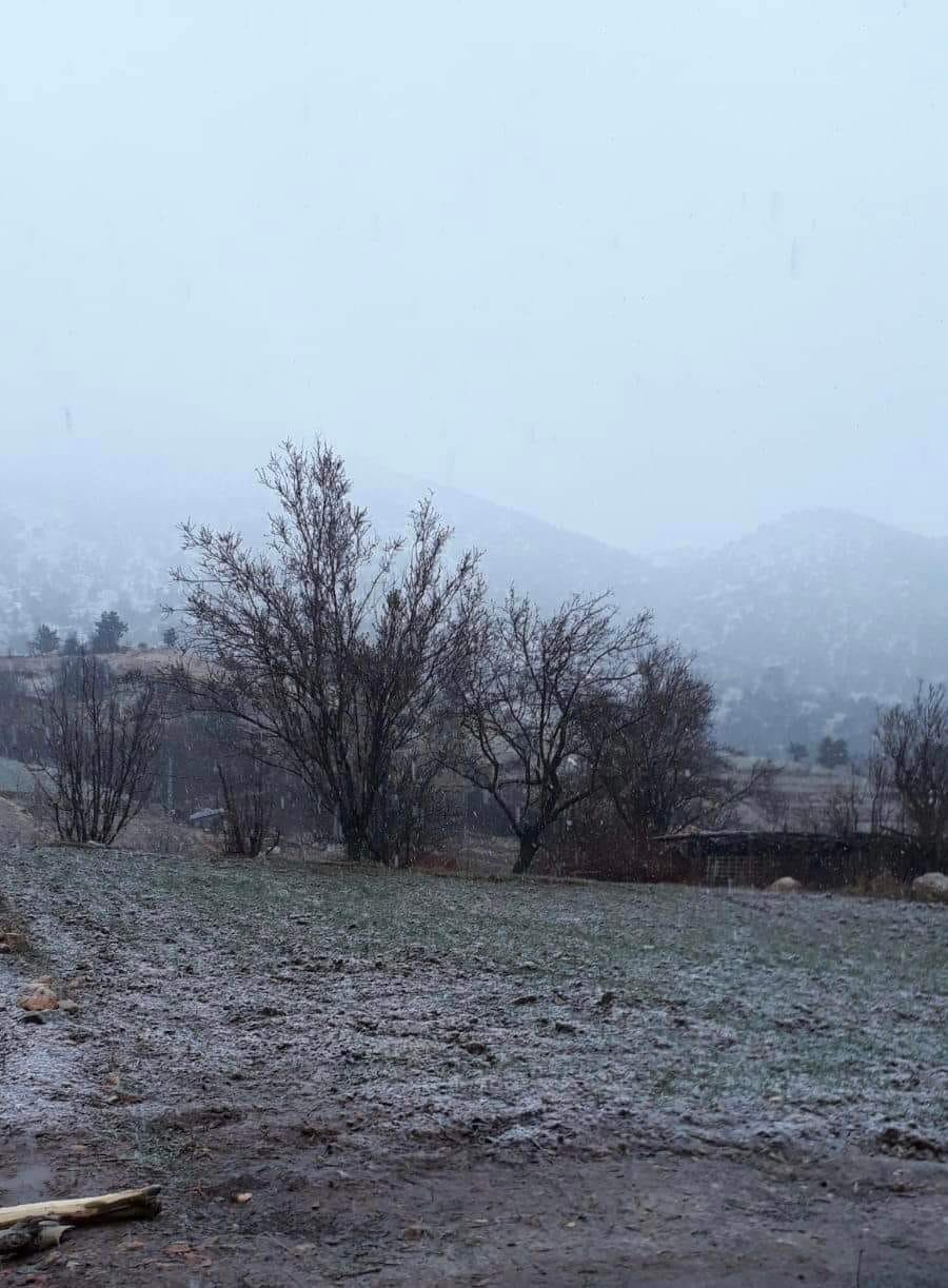 Denizli’ye yılın ilk karı düştü