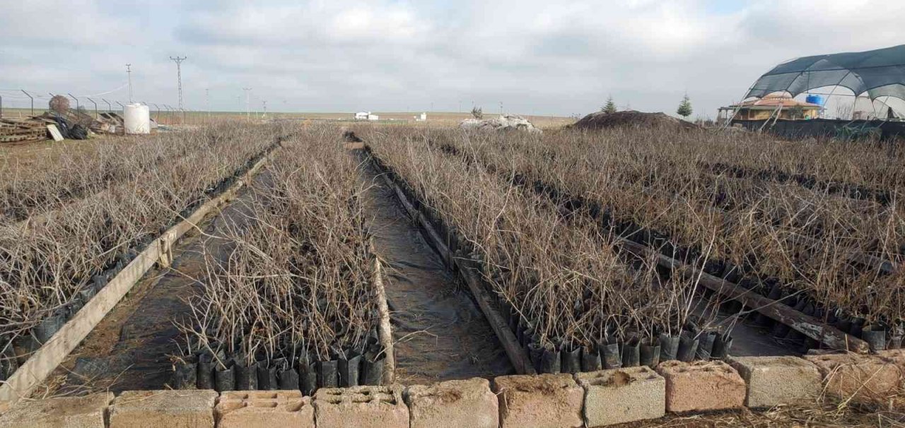 DTSO bölgesel kalkınma için projeler üretmeye devam ediyor