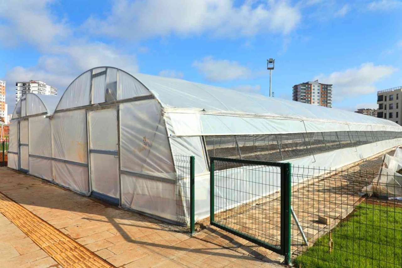 Diyarbakır’da organik sebze ve meyve üretimi başladı