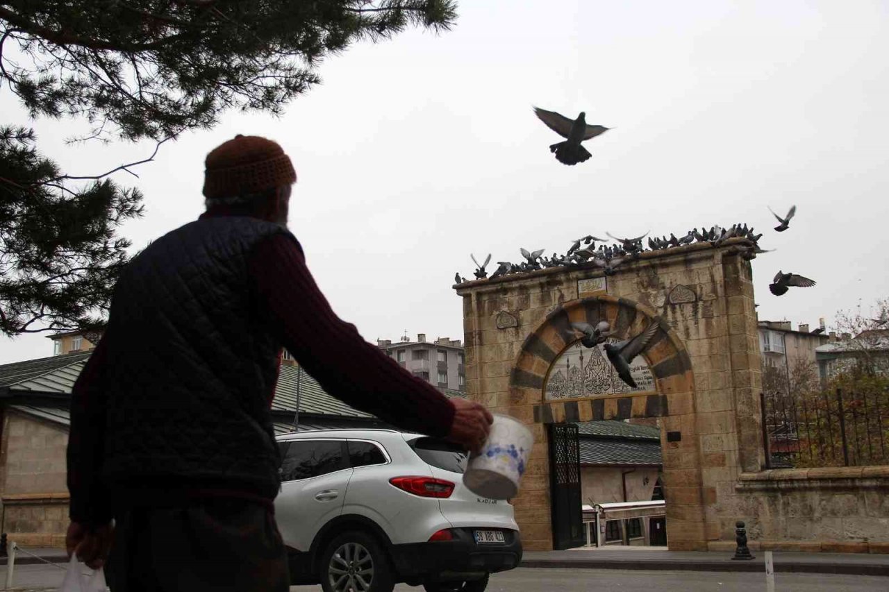 Sivas’taki 8 asırlık kuş vakfiyesinin dünyada başka bir benzeri bulunmuyor