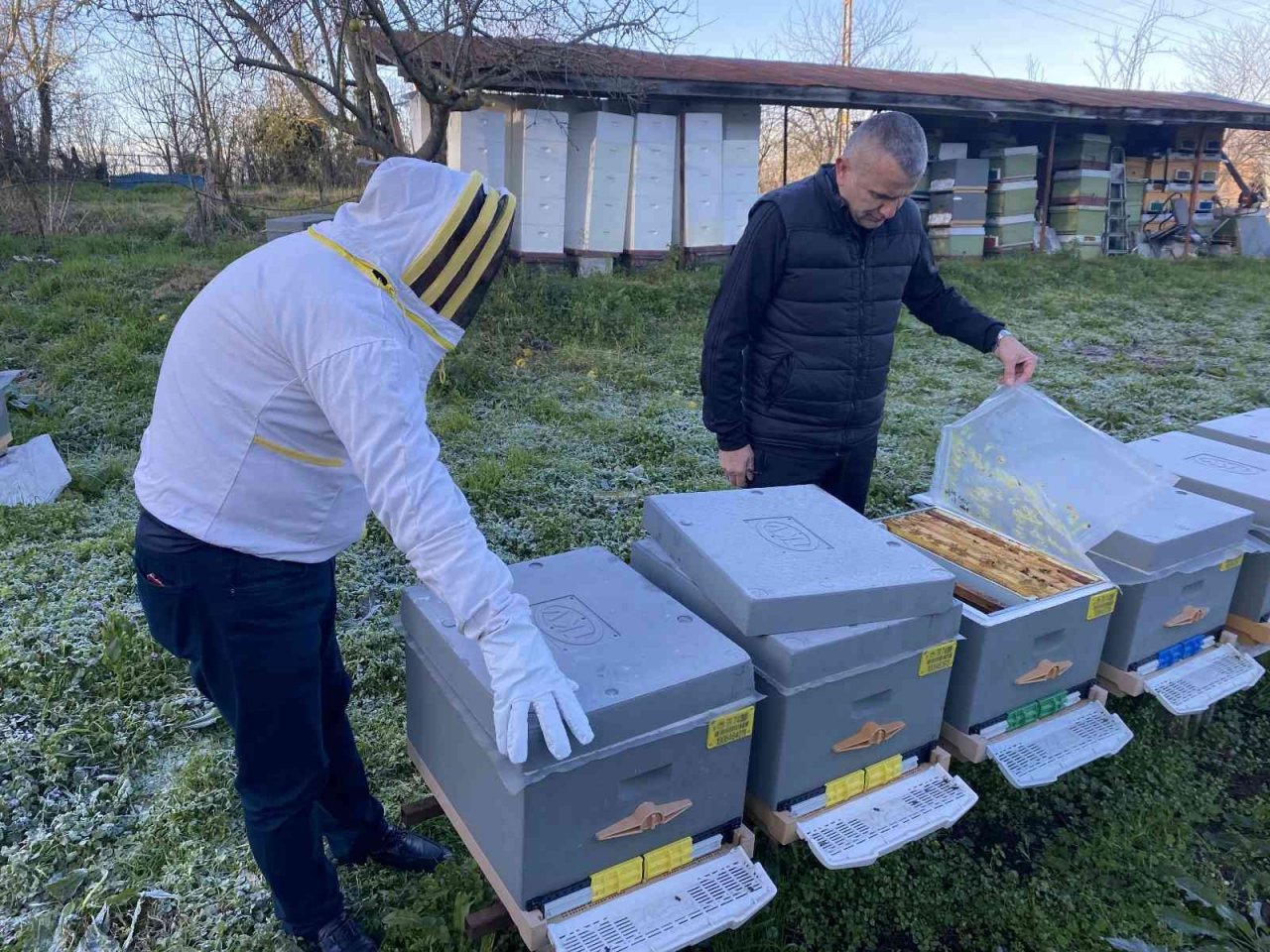 Yüksek hava sıcaklıkları arıcılığı ve bal üretimini olumsuz etkiliyor