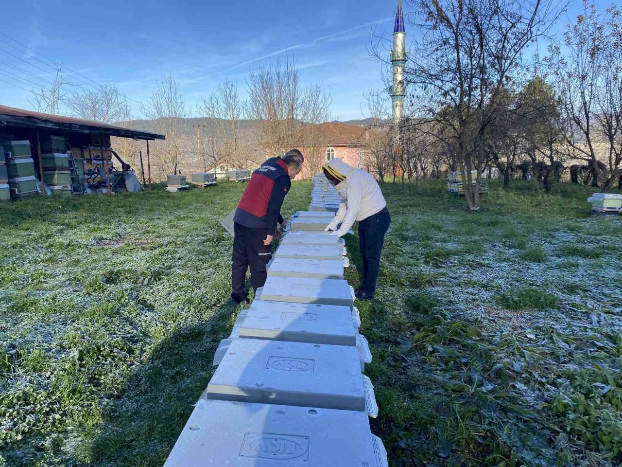 Yüksek hava sıcaklıkları arıcılığı ve bal üretimini olumsuz etkiliyor