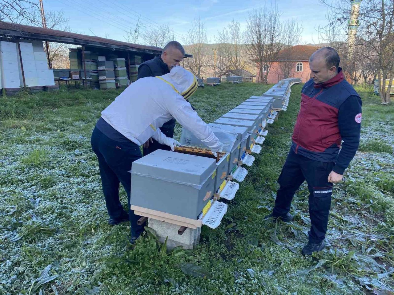 Yüksek hava sıcaklıkları arıcılığı ve bal üretimini olumsuz etkiliyor