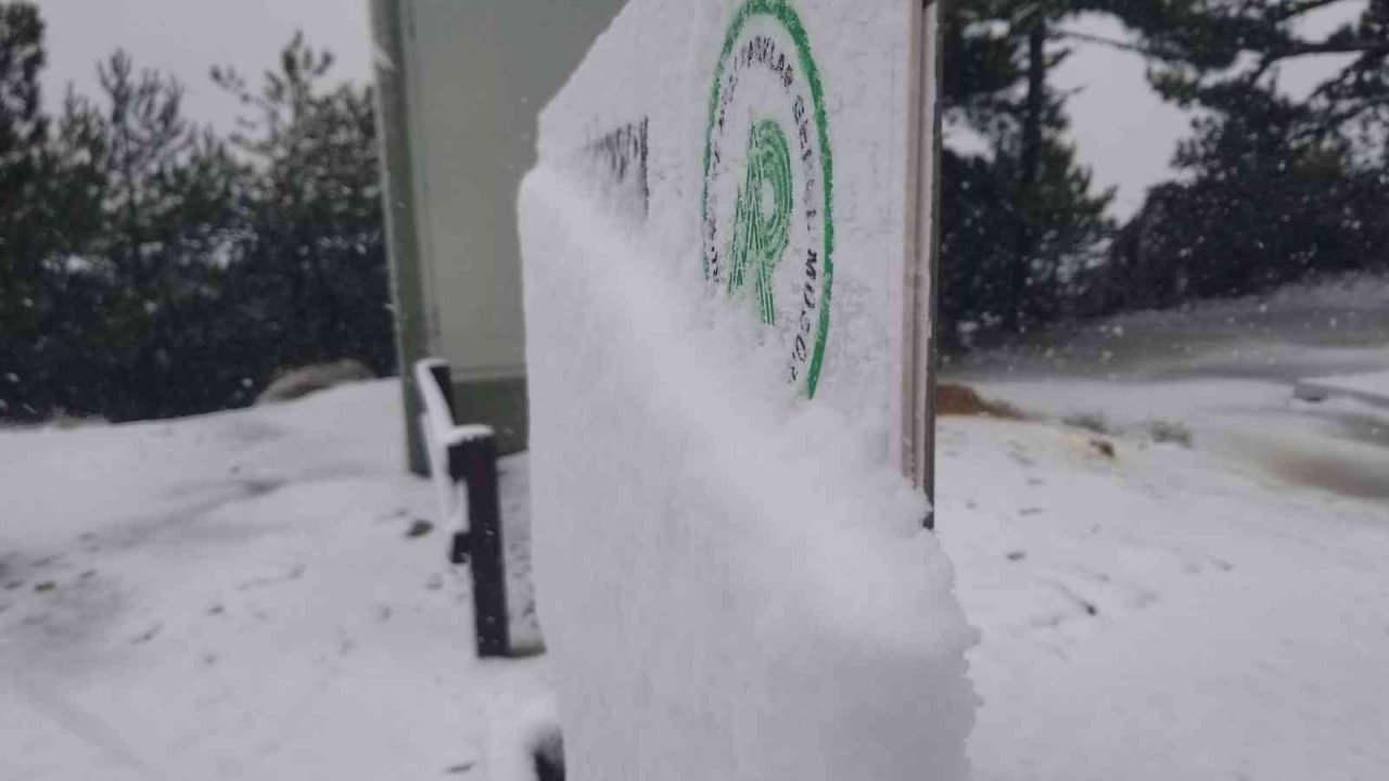 Spil Dağı Milli Parkı’na yılın ilk karı düştü