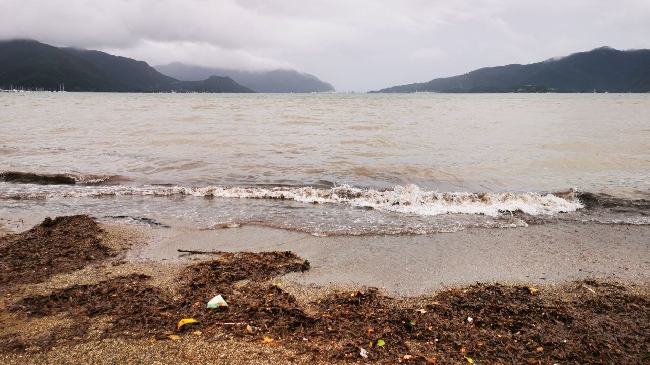 Marmaris’te denizin rengi kahverengiye döndü