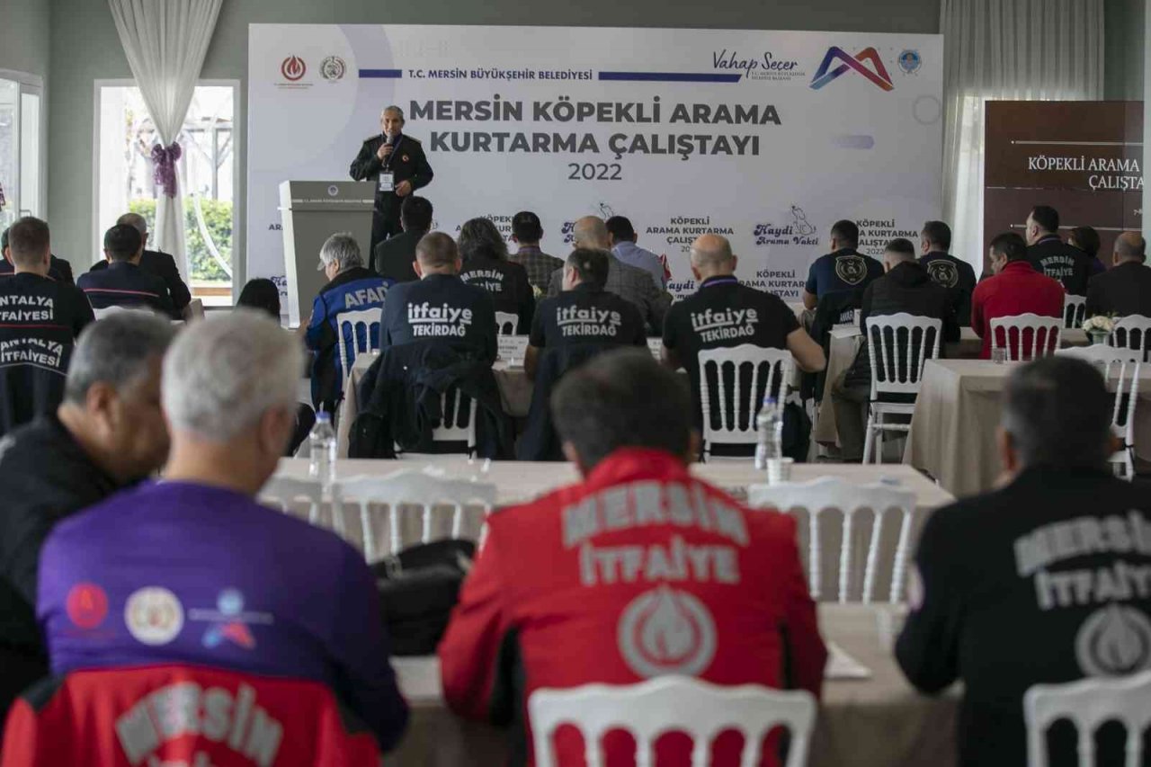 İtfaiye Daire Başkanı Aydın: "Yangınlarla canla başla müdahale ettik"