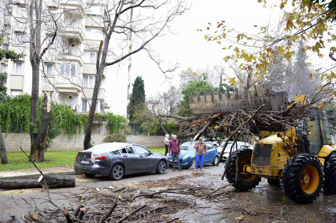 Devrilen ağaç lüks otomobili hurdaya çevirdi