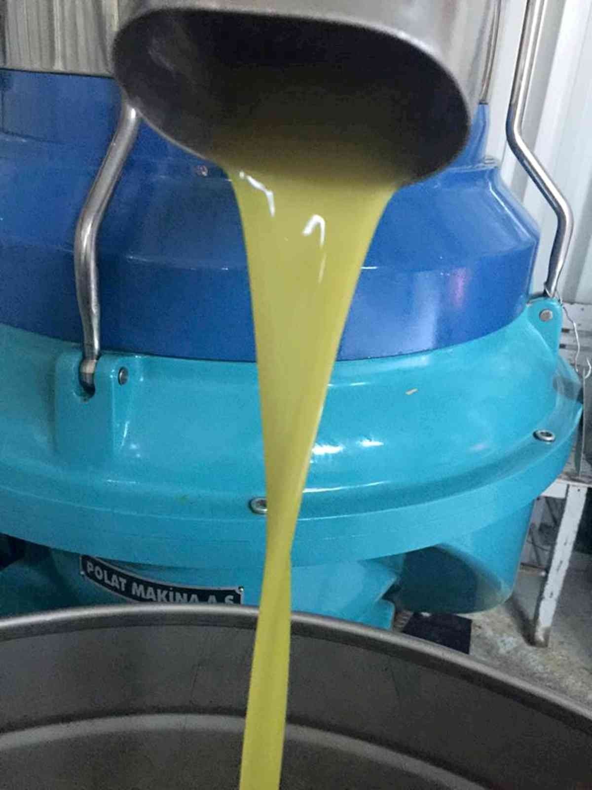 Zeytinde hasat sona erdi, üreticinin yüzü güldü