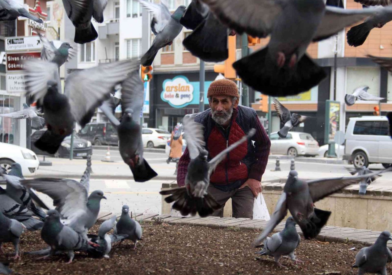 Sivas’taki 8 asırlık kuş vakfiyesinin dünyada başka bir benzeri bulunmuyor