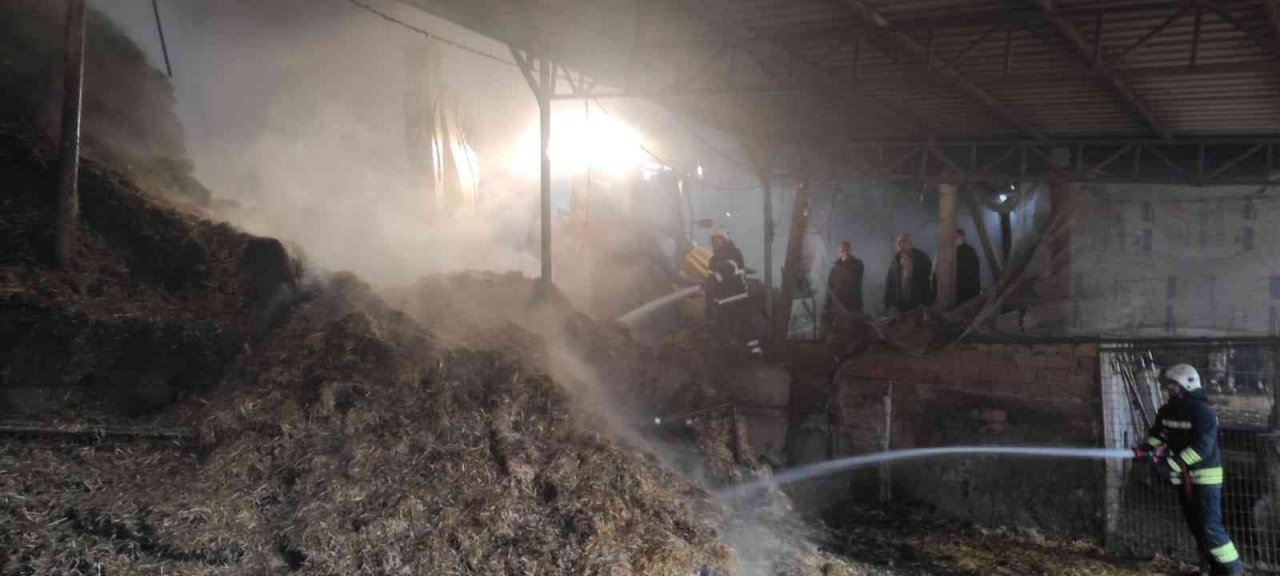 Çiftlikte çıkan yangında hayvanlar telef oldu