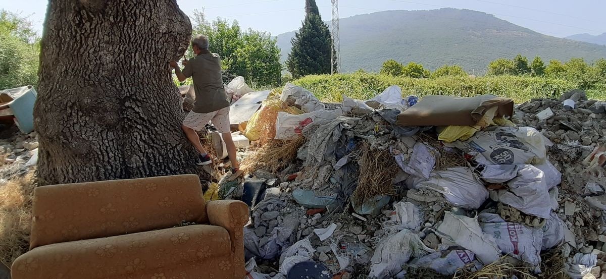 Doğaseverler, 210 yaşındaki ağacın korunması için harekete geçti