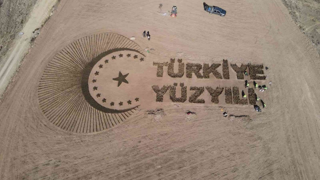 Denizli’de 81 bin fidanla ’Türkiye Yüzyılı’ logosu işlendi