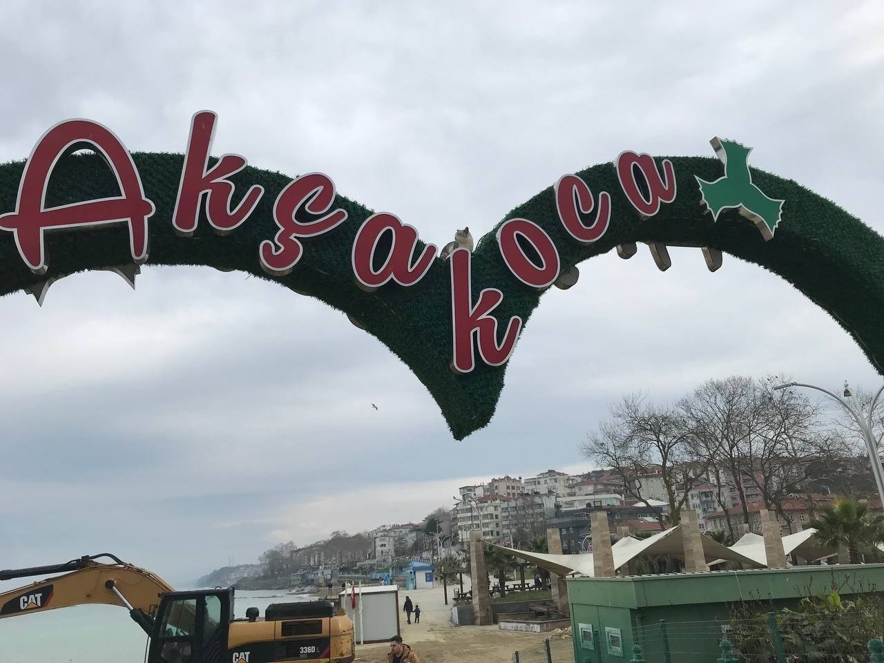 Reklam panosunda mahsur kalan kedi zor anlar yaşattı