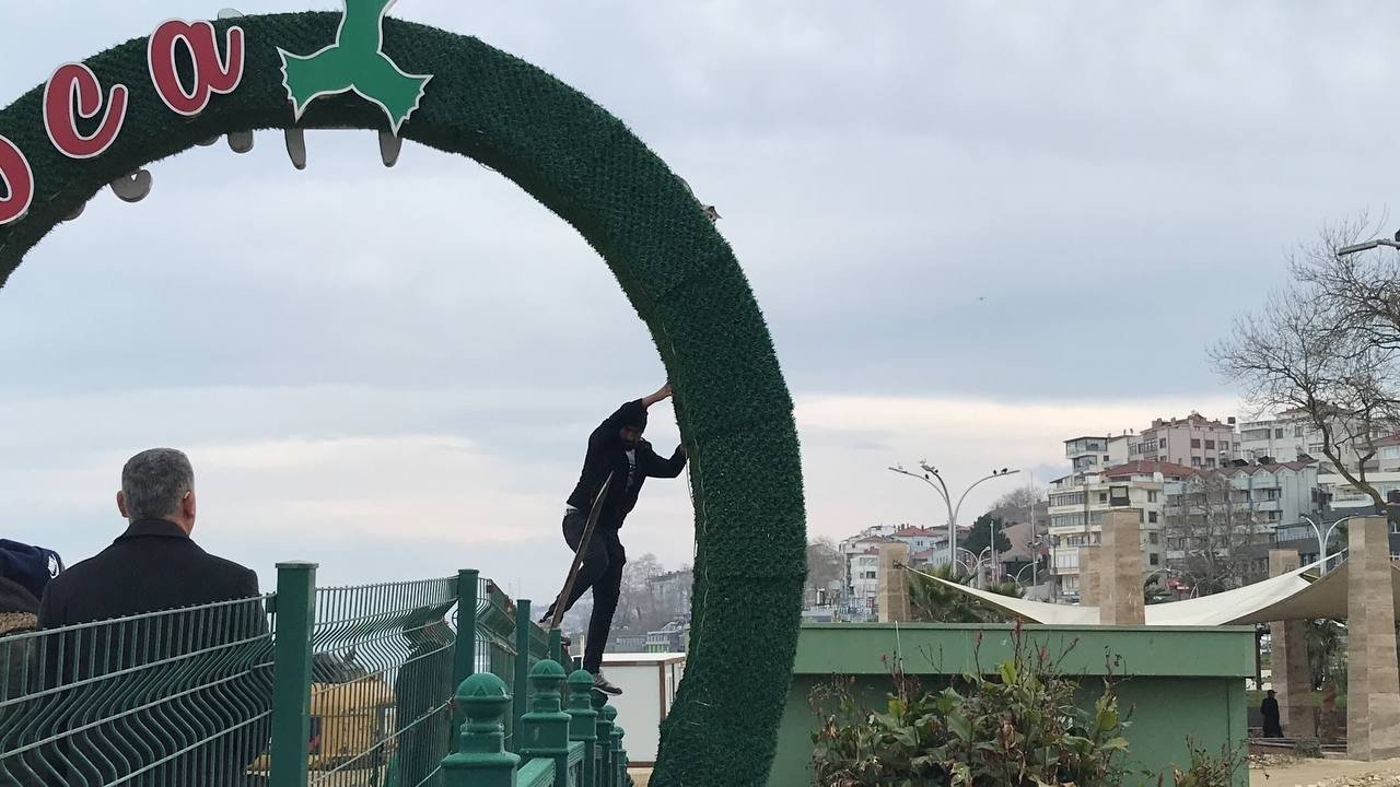 Reklam panosunda mahsur kalan kedi zor anlar yaşattı