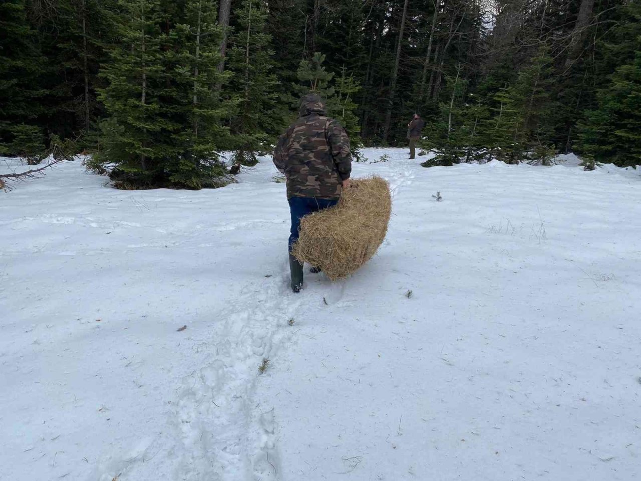 Yaban hayvanları için seferber oldular