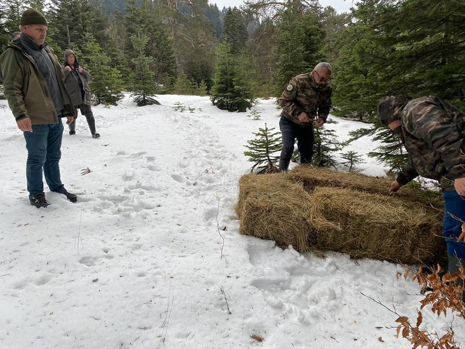 Yaban hayvanları için seferber oldular