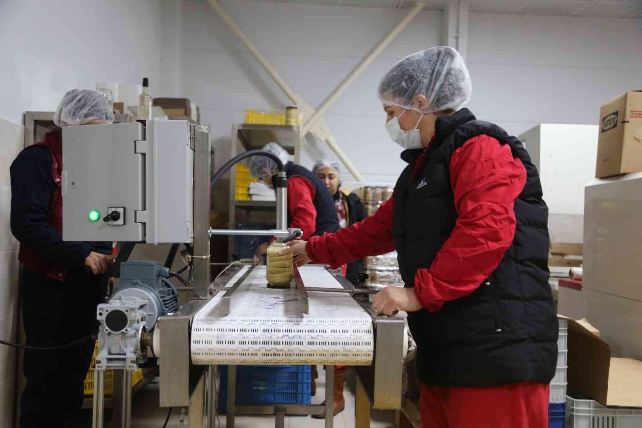 Efeler kadın emeği ile üretiyor, ülkenin dört bir yanına ulaştırıyor