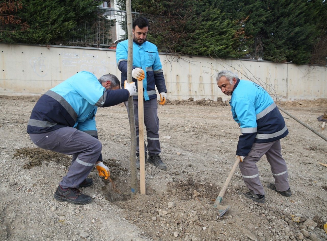 Nilüfer’de ağaçlandırma çalışmaları başladı