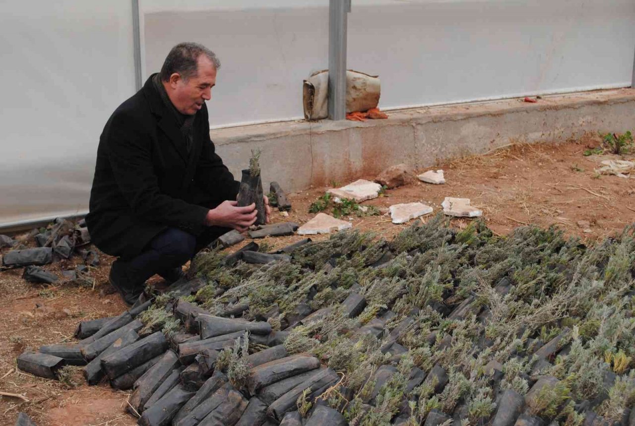 Sarıcakaya, gözünü akıllı seralara dikti