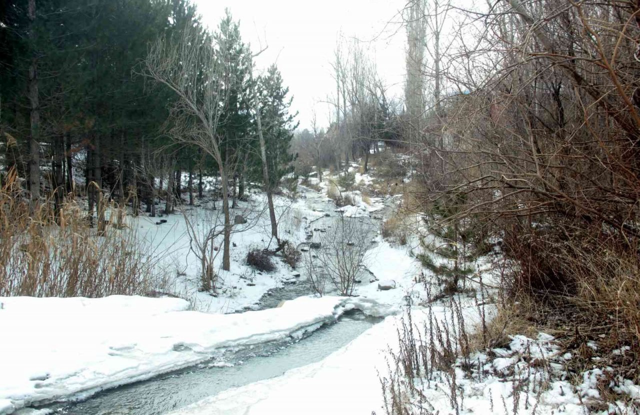 Soğuk hava Bayburt ve Erzincan’da akarsuları dondurdu