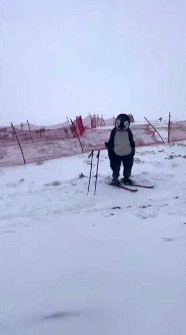 Ayı ve penguen ile Uludağ’da kayak yaptı, ortaya renkli görüntüler çıktı