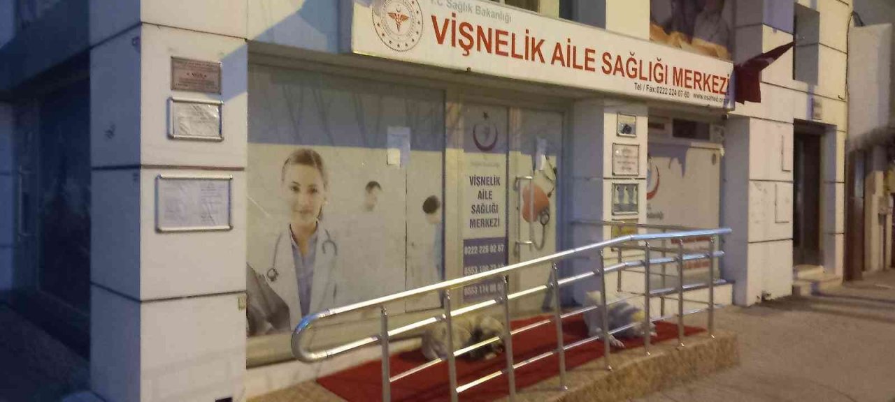 Vişnelik Aile Sağlığı Merkezi önünde sevimli köpekler geceleri nöbet bekliyor
