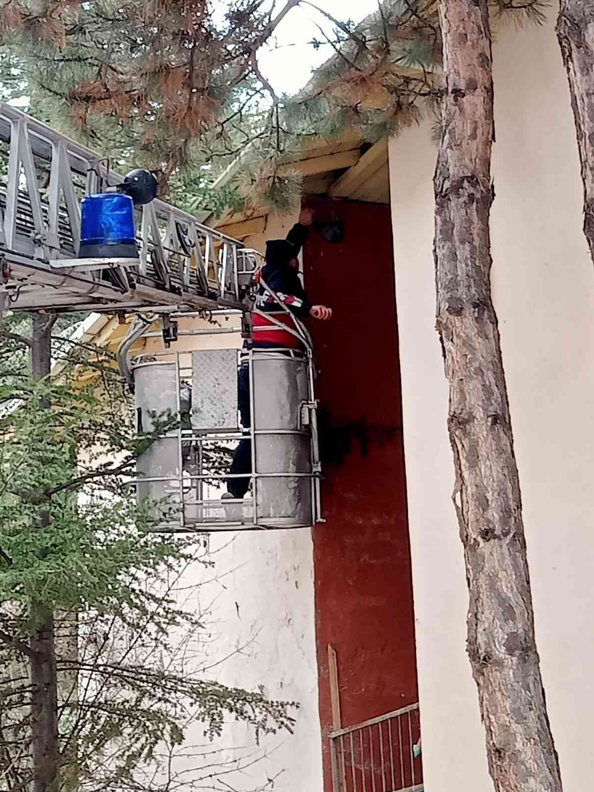 Mahsur kalan baykuş ve güvercini itfaiye kurtardı