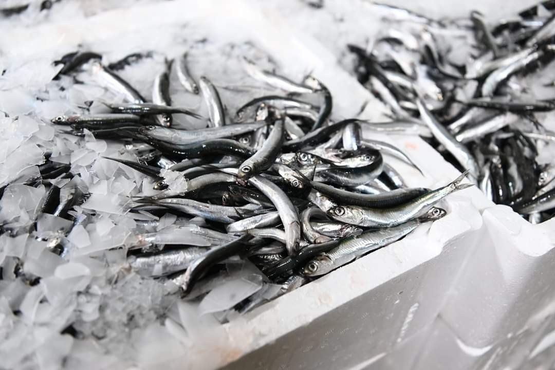 Kayseri’de eş zamanlı "balık" denetimi