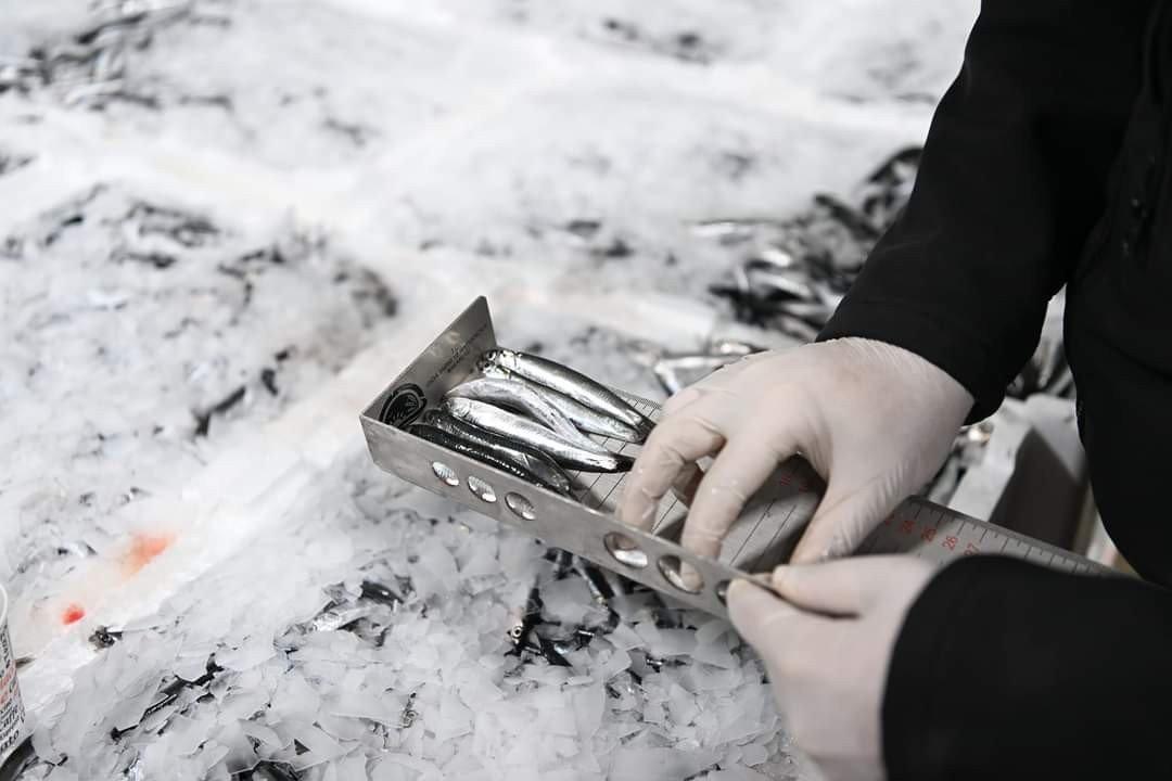 Kayseri’de eş zamanlı "balık" denetimi