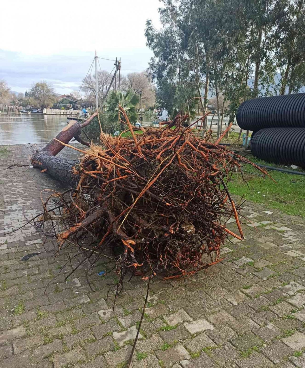 Atıklar, Köyceğiz Gölü ile Dalyan kanallarında tehlike oluşturuyor