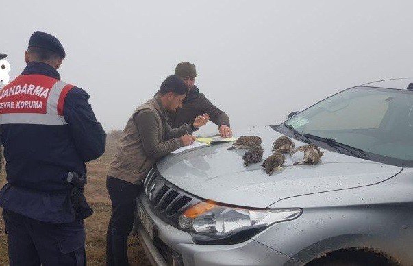 Koruma altındaki keklikleri vurdular, cezadan kaçamadılar