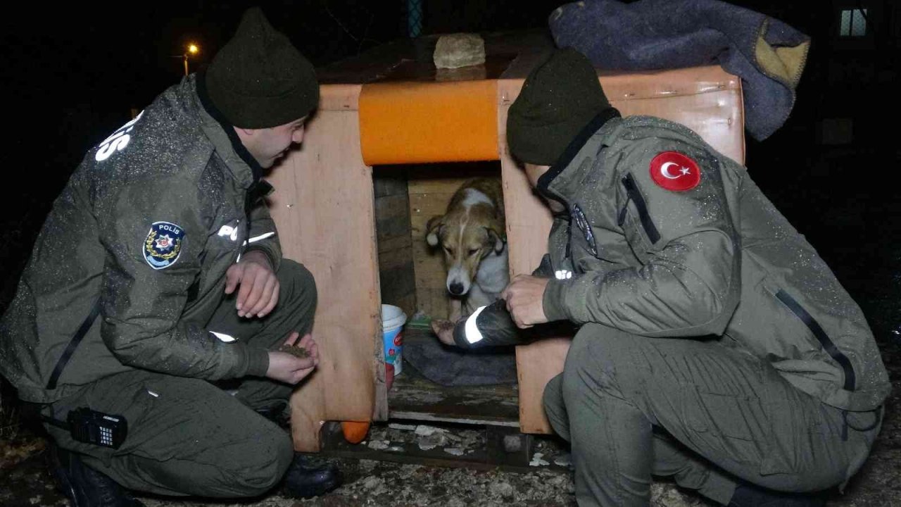 Uşak polisi yağmurlu havada sokak canlılarını unutmadı