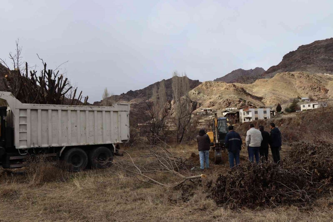 Meyve bahçelerinin ağaçlarını iş makineleri ile söküyorlar