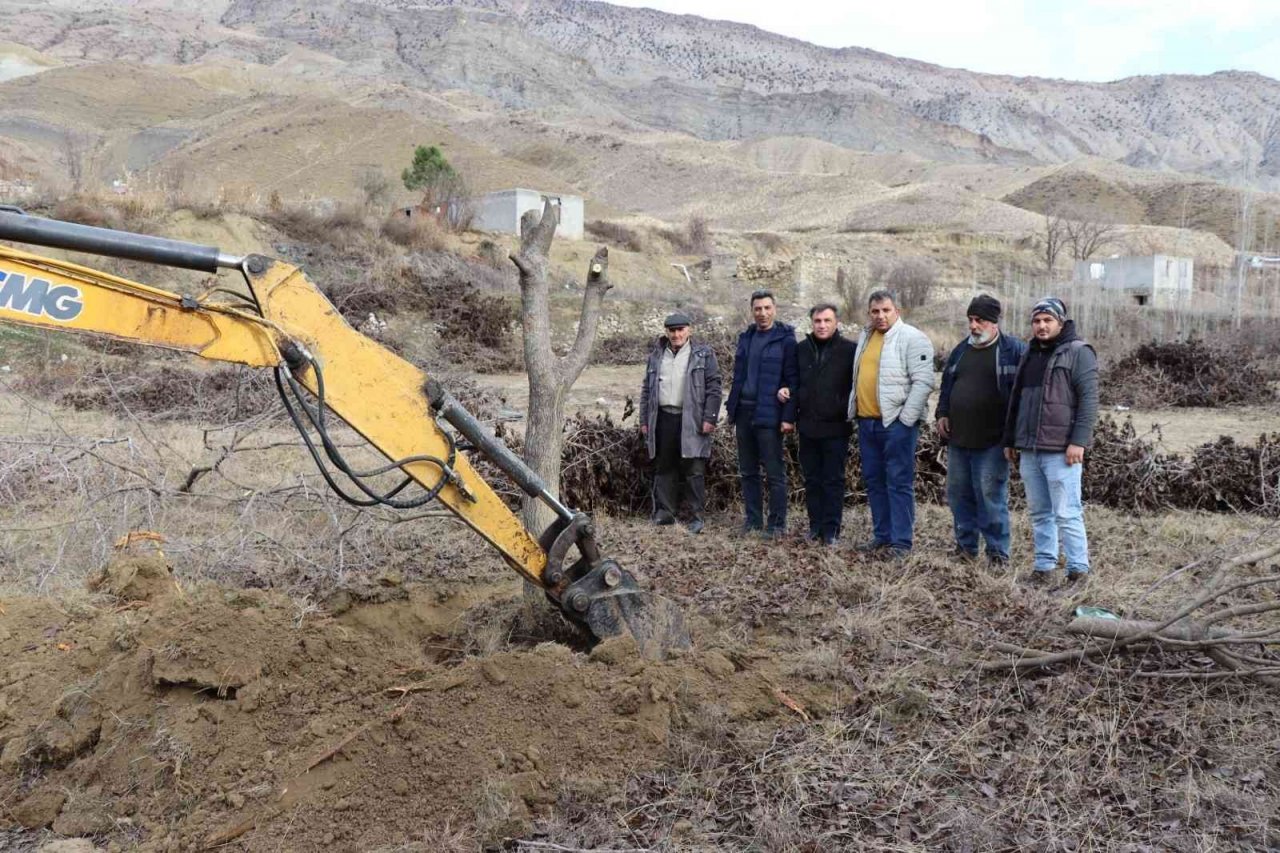 Meyve bahçelerinin ağaçlarını iş makineleri ile söküyorlar