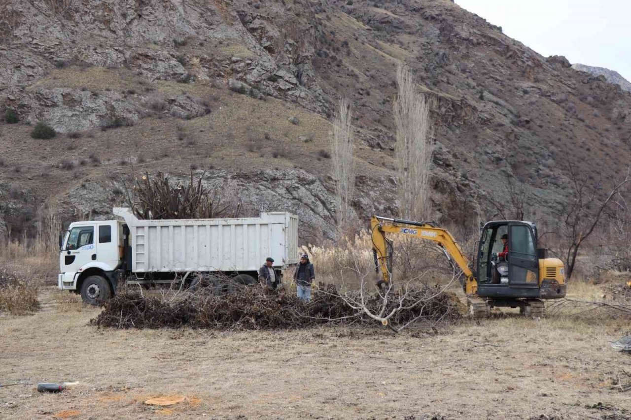 Meyve bahçelerinin ağaçlarını iş makineleri ile söküyorlar
