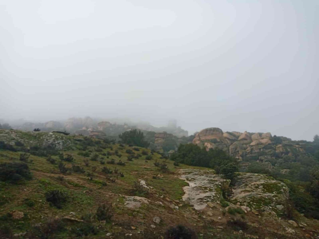 Aydın-Muğla karayolunda sis etkili oldu