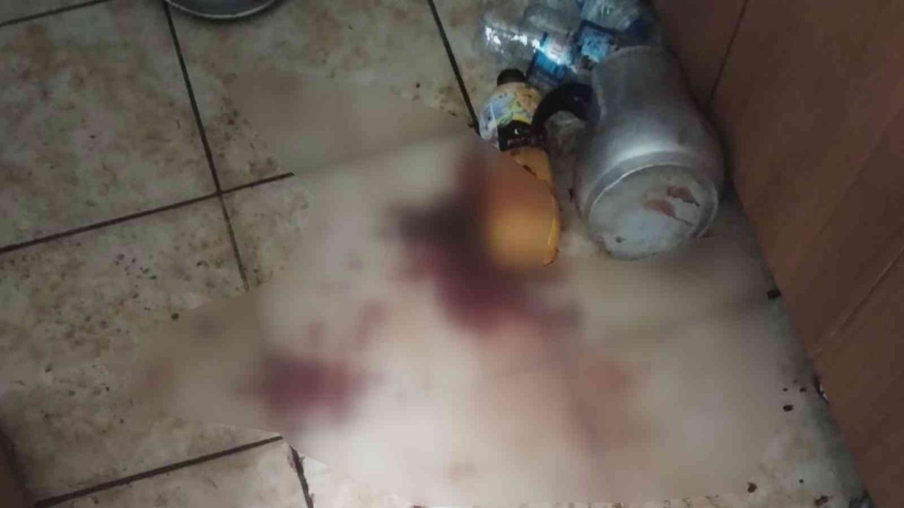 Davalı yeğen, amcasının kafa derisini yüzdü