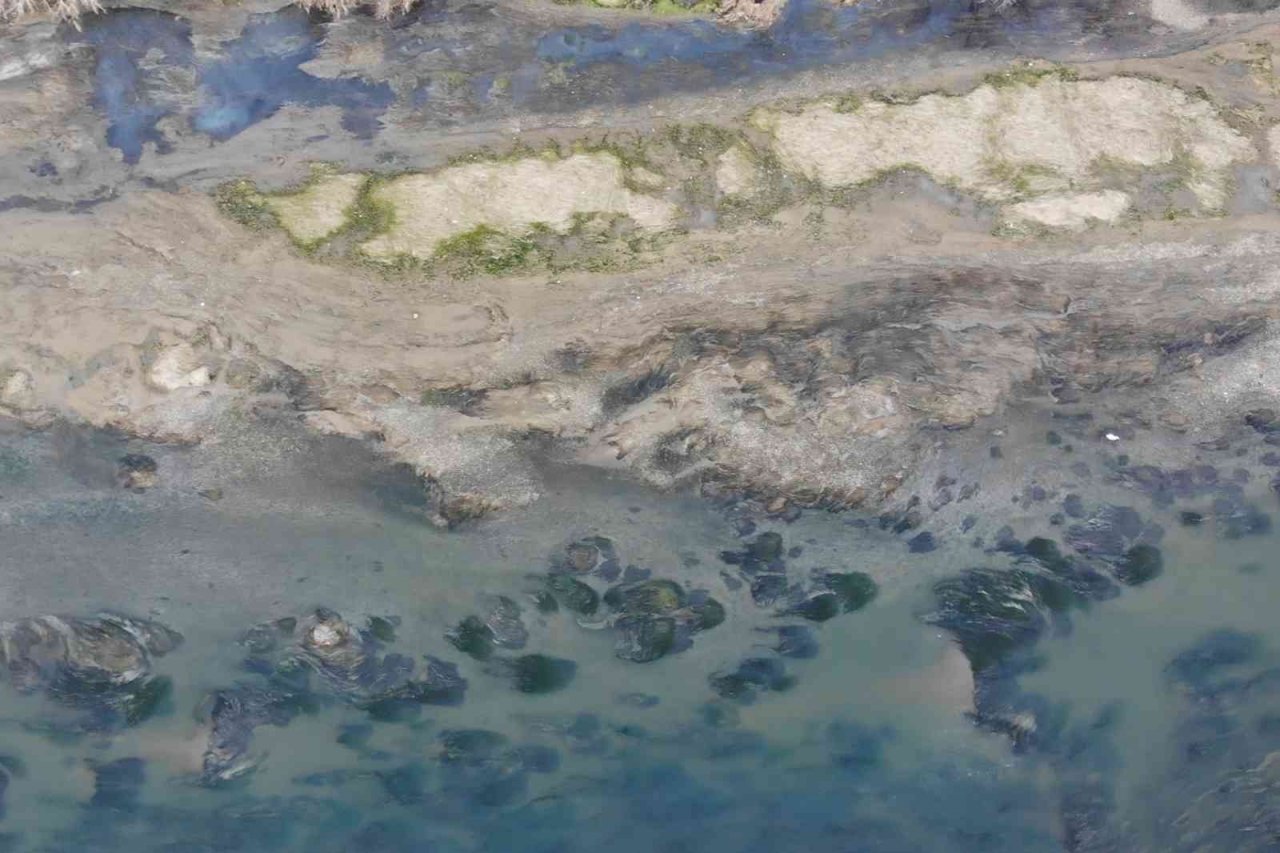 Kuraklık, Türkiye’nin en uzun nehrini etkiledi: Su seviyesi azalan Kızılırmak’ta adacıklar ortaya çıktı