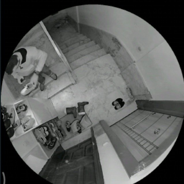 Ayakkabıları önce numarasına bakıp sonra koklayarak çaldı