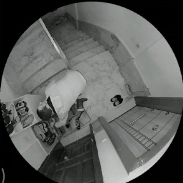 Ayakkabıları önce numarasına bakıp sonra koklayarak çaldı